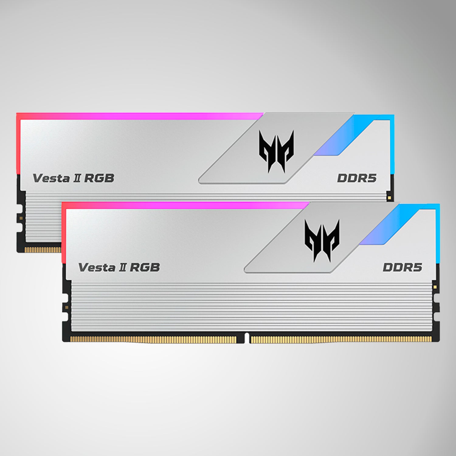 Memoria RAM Predator Vesta II 32gb (2*16gb) DDR5-6000mhz RGB | Achorao