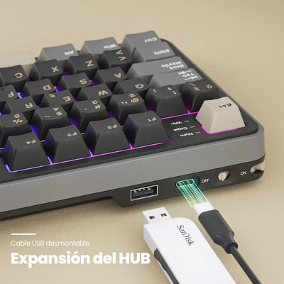 Teclado gamer Royal Kludge RK-S98 Inalámbrico - PREVENTA - Achorao