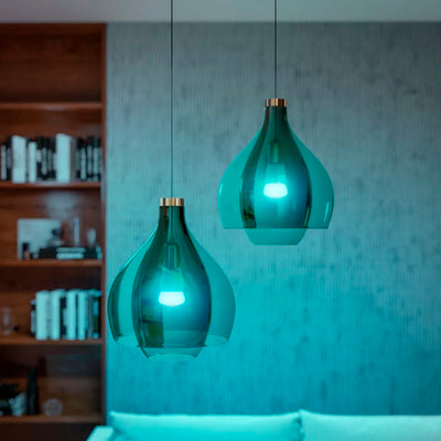 Foco Philips Hue A60 E27 1100 9W RGB