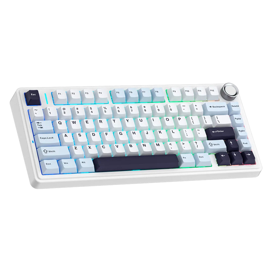 Teclado gamer Aula F75 Rainbow Cableado Ingles Blue/white/dark purple-pink switch DEMO