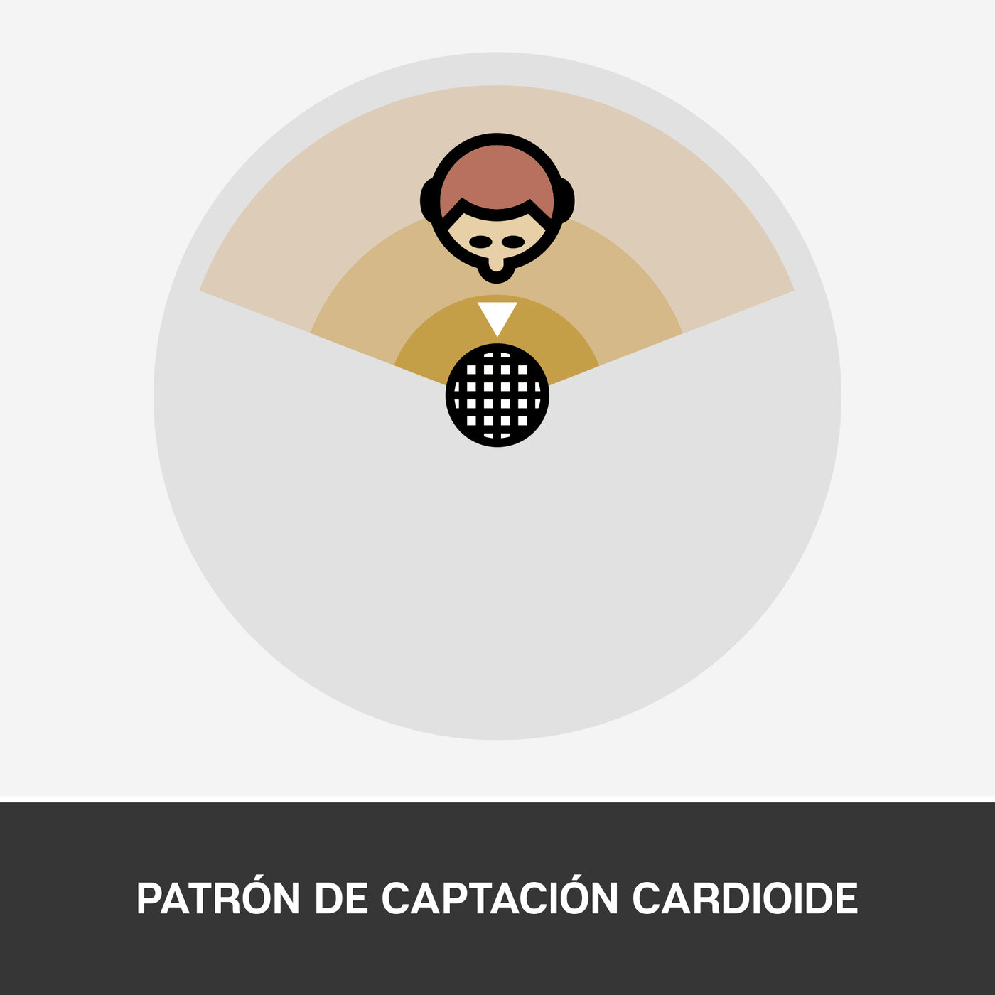 Micrófono Blue Snowball Ice Cardioide USB Plug and Play Black - Achorao