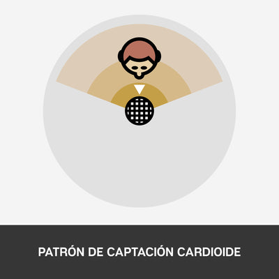 Micrófono Blue Snowball Ice Cardioide USB Plug and Play Black - Achorao