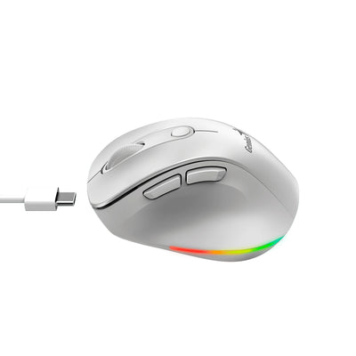 Mouse Genius ergo 9000S PRO dual recargable wireless/BT 6 botones silent - Achorao