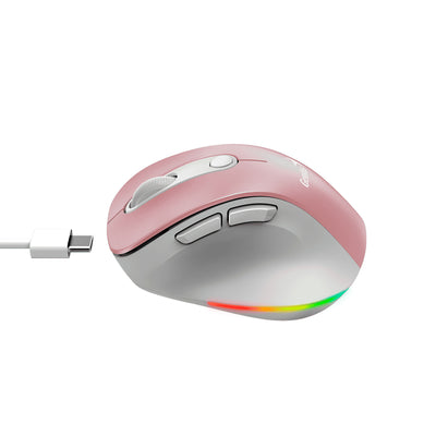 Mouse Genius ergo 9000S PRO dual recargable wireless/BT 6 botones silent - Achorao
