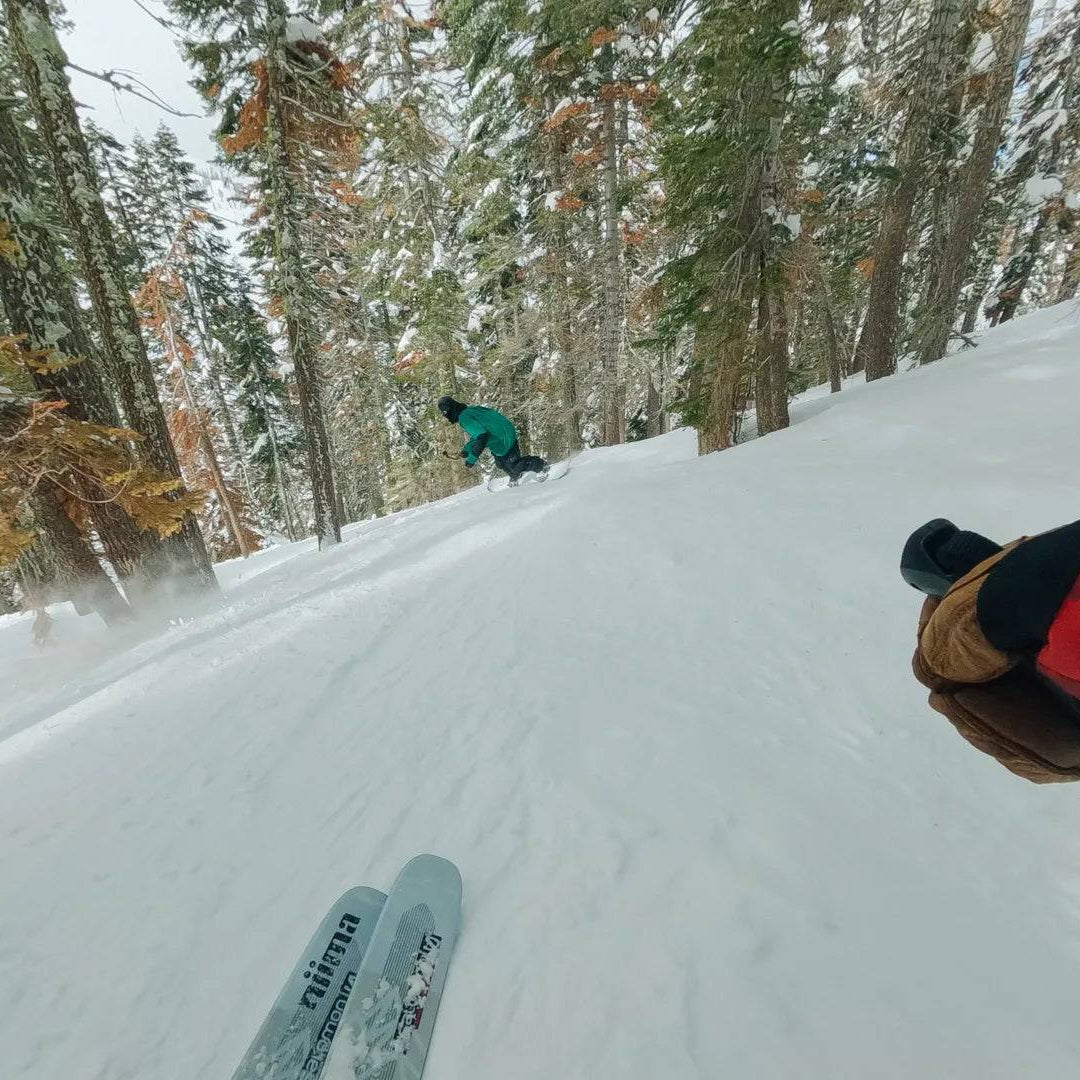 GoPro Chesty Soporte de pecho Performance (Para todas las cámaras GoPro ) - Achorao