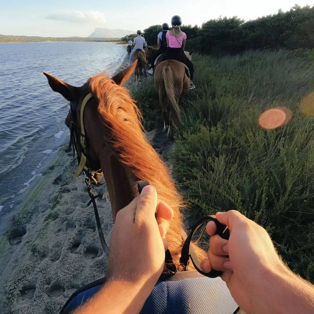 GoPro Head Strap 2.0 (montaje de cabeza de cámara de acción + clip) - Accesorio oficial - Achorao