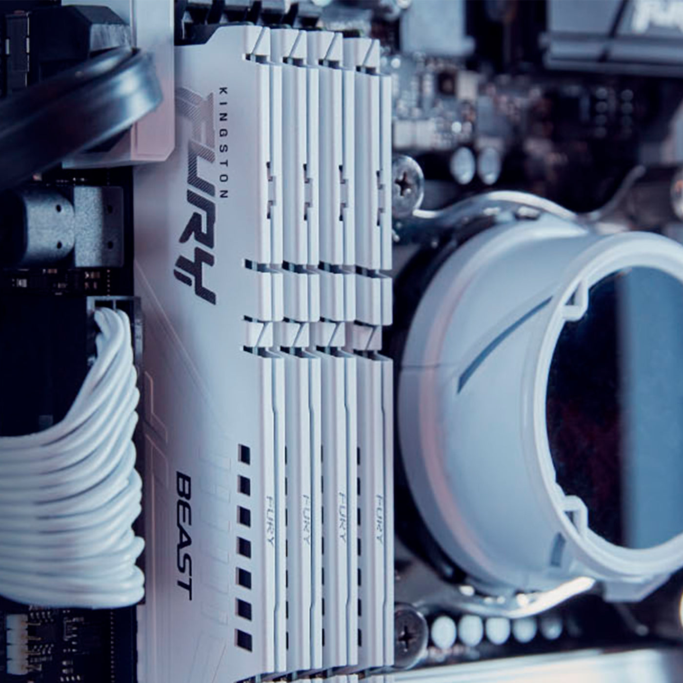 Memoria RAM KINGSTON Fury Beast, 16gb DDR5 - 5200mhz White NON-ECC - Achorao