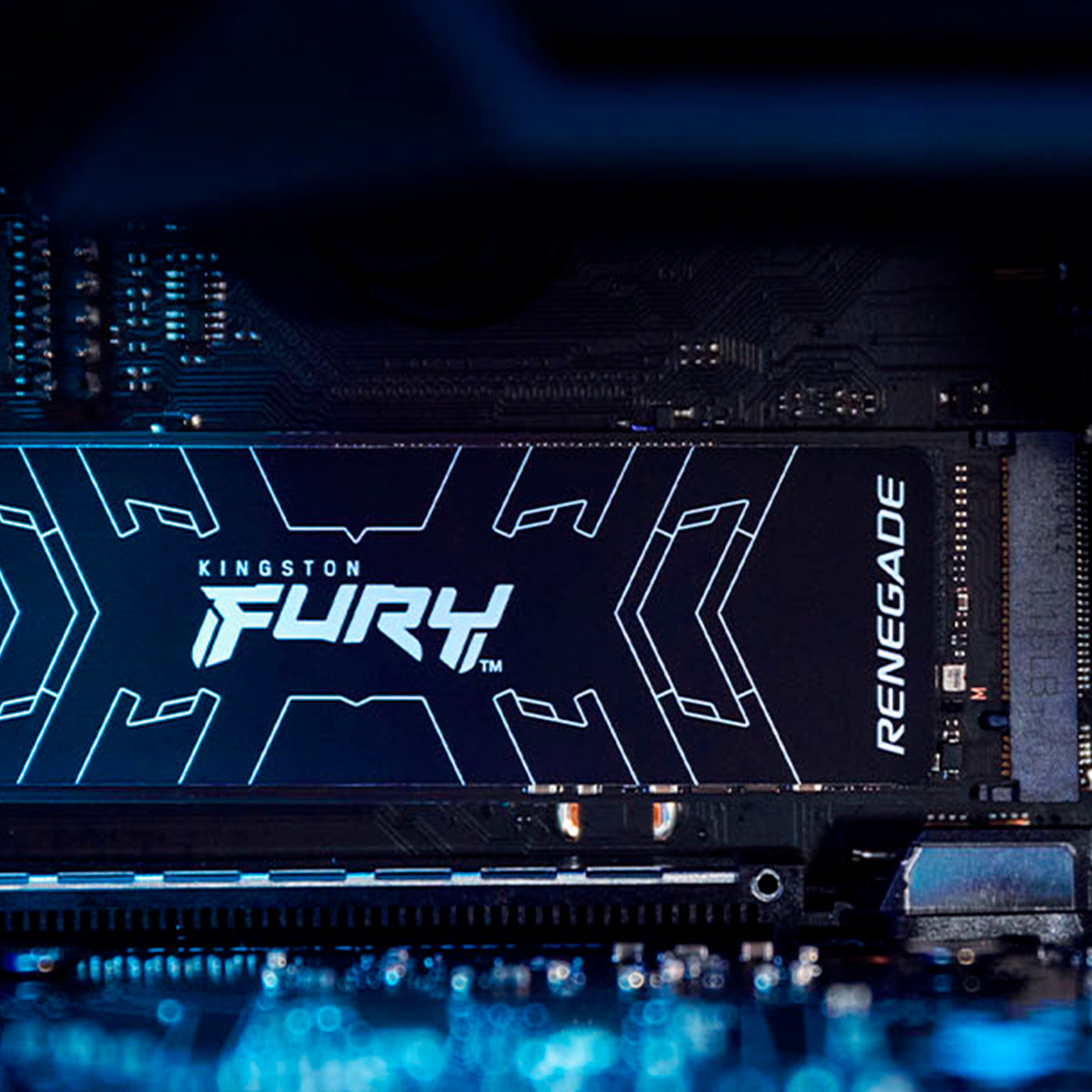 Unidad de estado sólido M.2 Kingston FURY Renegade PCIe 4.0 NVMe M.2 SSD - Achorao