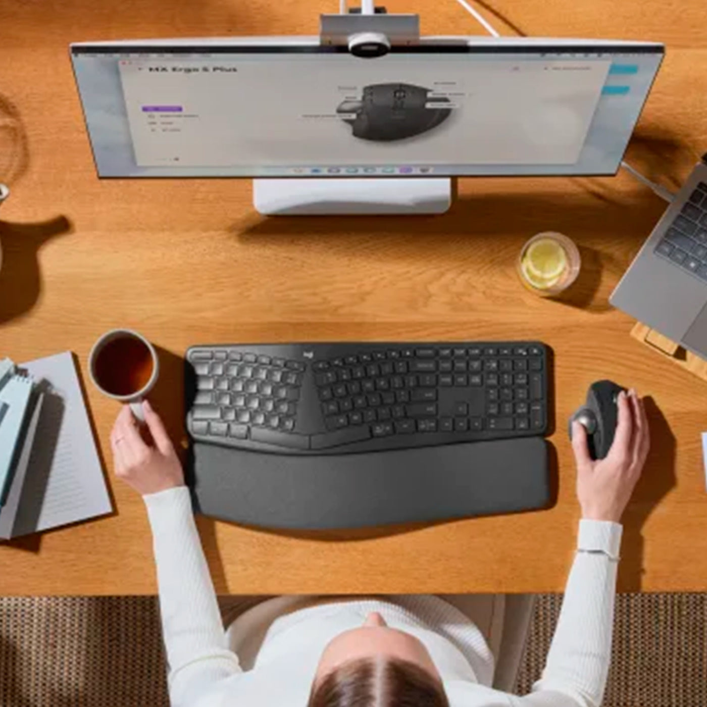 Mouse Logitech Mx Ergo S, Advanced Trackball Wireless bolt/Bluetooth USB-C BLACK - Achorao