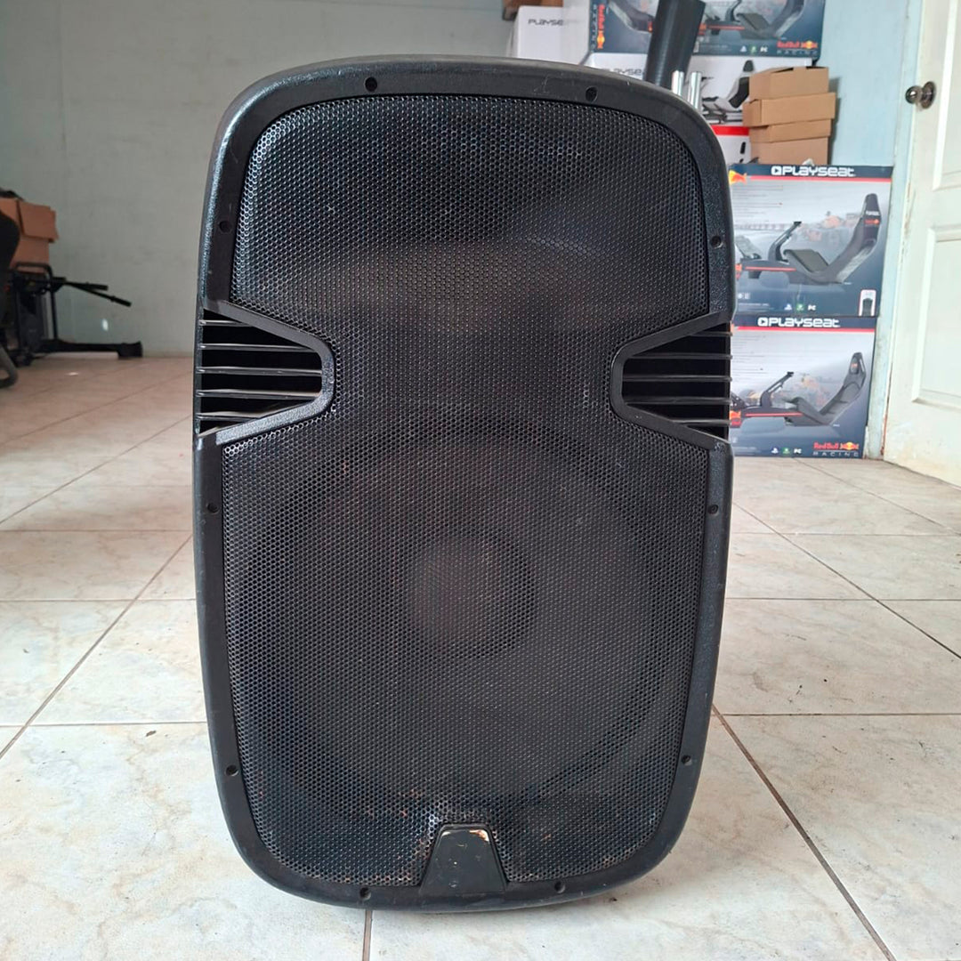 Parlante 15" Activo Portátil con Bluetooth y Ecualizador (Ideal para eventos/reuniones) DEMO