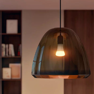 Bombilla LED Inteligente Philips Hue A67 E27 Luz Blanca Cálida a Fría - Achorao