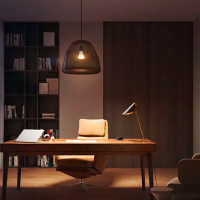 Bombilla LED Inteligente Philips Hue A67 E27 Luz Blanca Cálida a Fría - Achorao