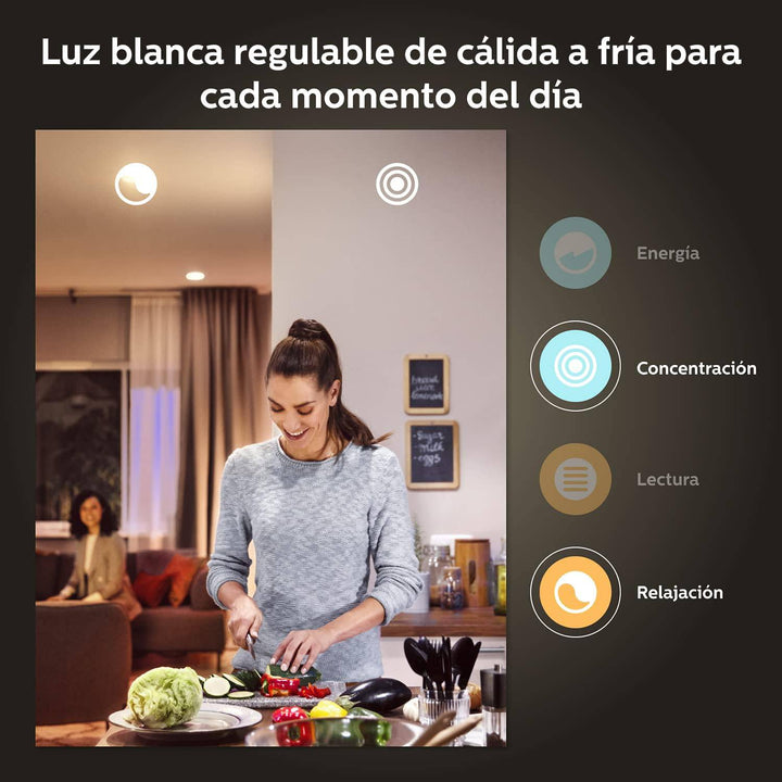 Bombilla LED Inteligente Philips Hue A67 E27 Luz Blanca Cálida a Fría - Achorao