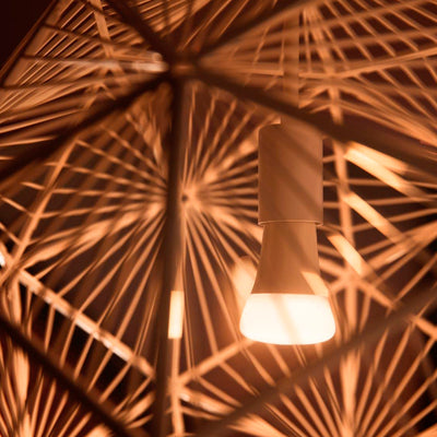 Foco Philips Hue A60  E27 Luz Calida 9.5W BT - Achorao