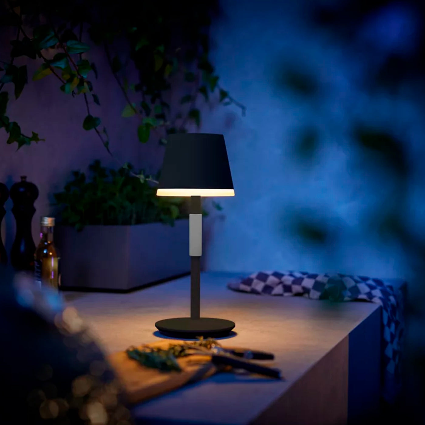 Lámpara de mesa portátil Hue Go - Achorao