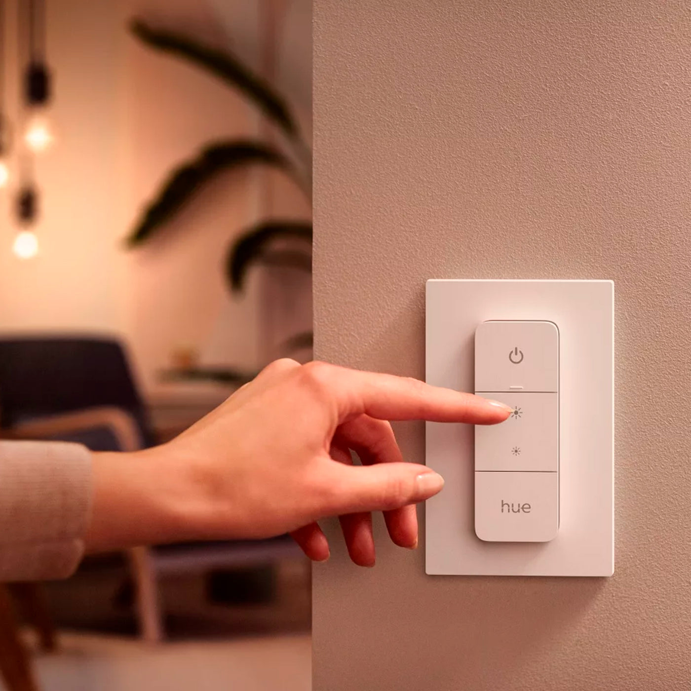 Philips Hue Interruptor Dimmer Switch Hue (último modelo) - Achorao