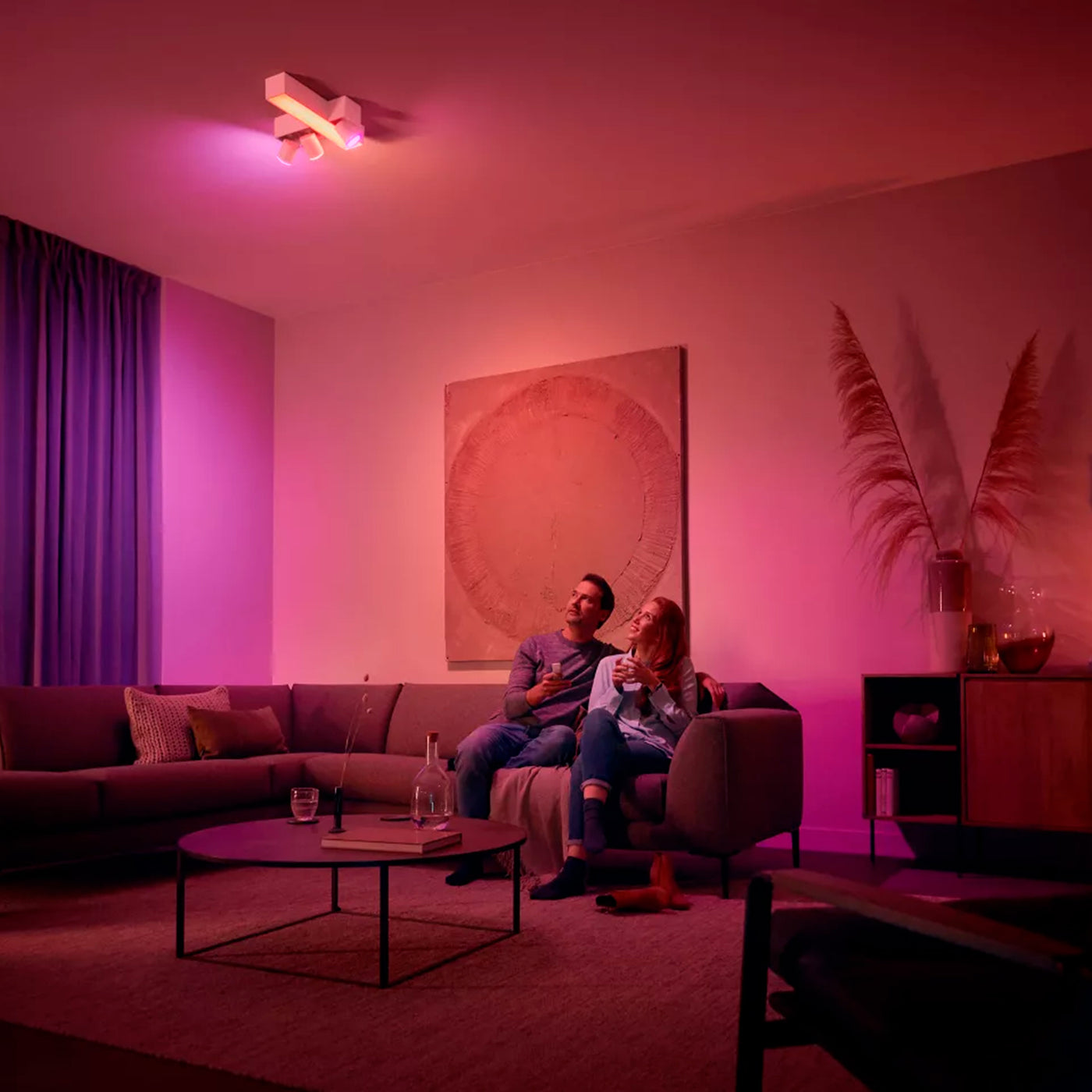 Philips Hue Interruptor Dimmer Switch Hue (último modelo) - Achorao