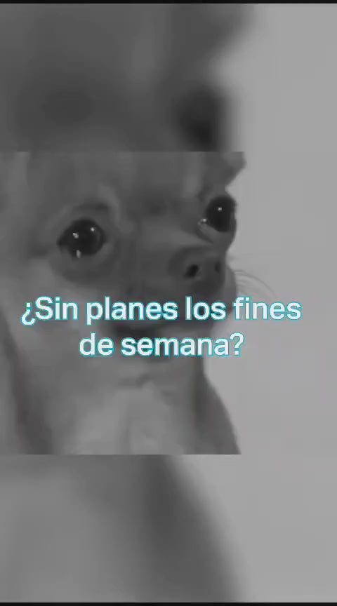 Foco Tp-link Tapo L530e Smart Wi-fi Light Bulb, Multicolor