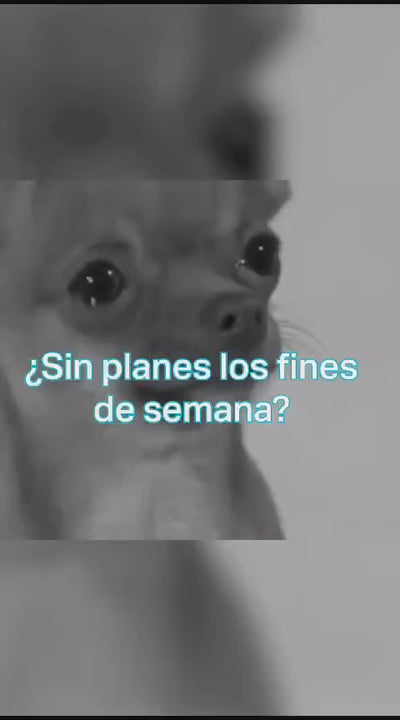 Foco Tp-link Tapo L530e Smart Wi-fi Light Bulb, Multicolor