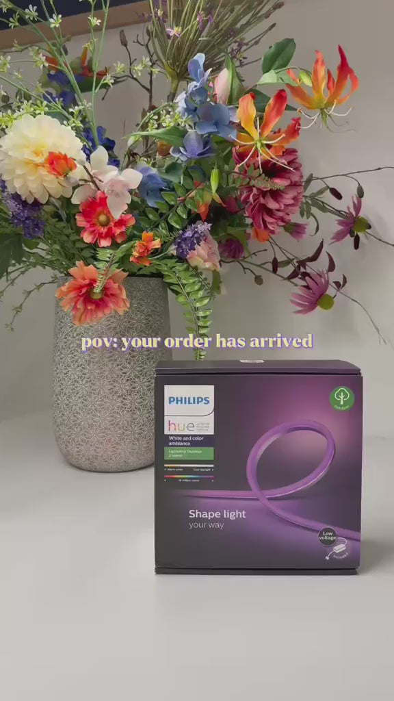 Tira de luz LED exterior Philips Hue Lightstrip Outdoor 5 m White &amp; Color Ambiance, EU