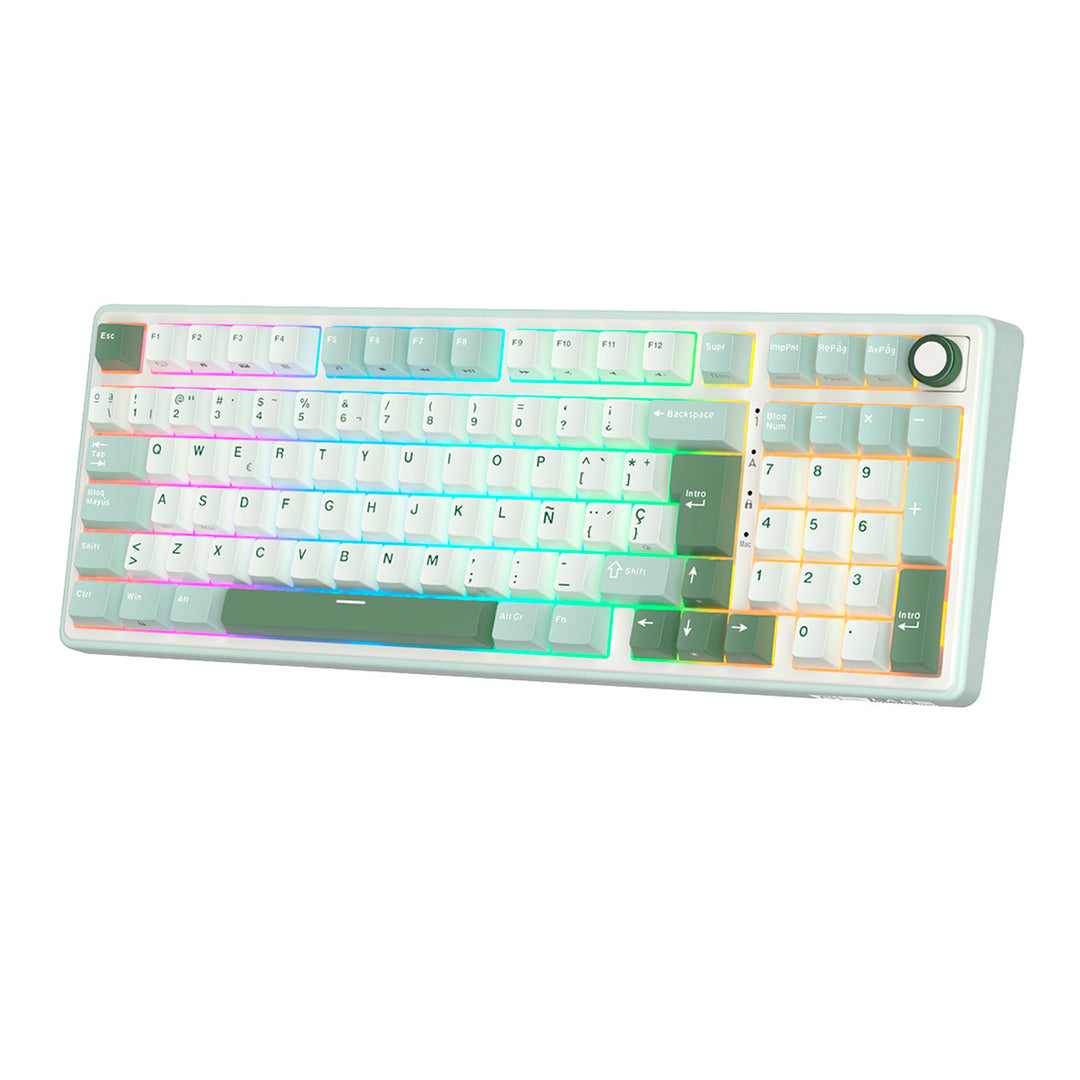 Teclado mecánico gamer Royal Kludge RK-R98 Pro - Achorao
