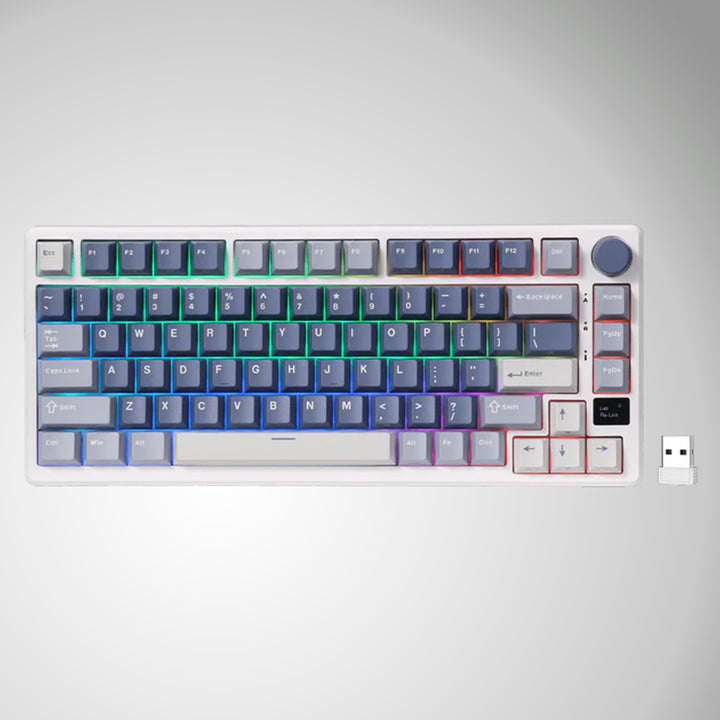 Teclado mecánico gamer Royal Kludge RK-M75 Inalámbrico - Achorao