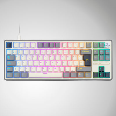 Teclado mecánico gamer Royal Kludge RK-R87PRO TKL Cableado - Achorao