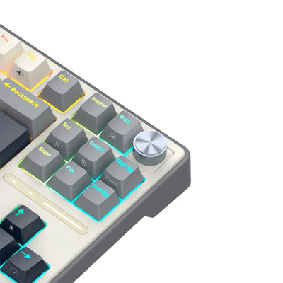 Teclado mecánico gamer Royal Kludge RK-R87PRO TKL Cableado - Achorao