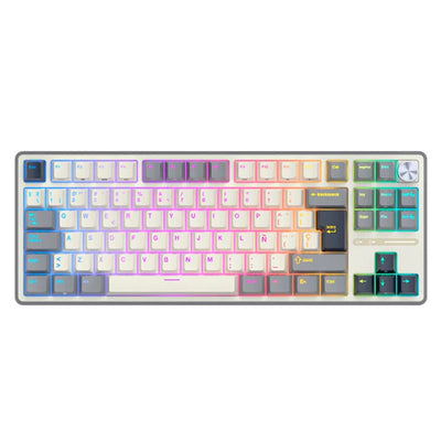 Teclado mecánico gamer Royal Kludge RK-R87PRO TKL Cableado - Achorao