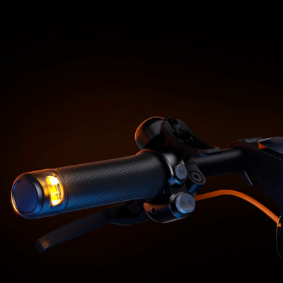 Scooter eléctrico Segway-Ninebot F2 PLUS - Achorao