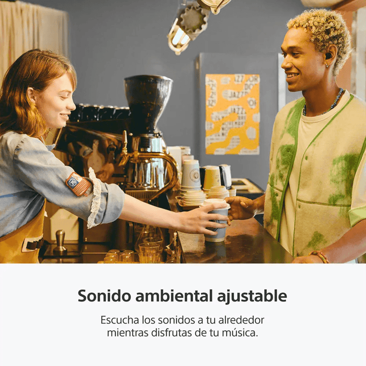 Audífonos "True Wireless" WF-C510 - Achorao