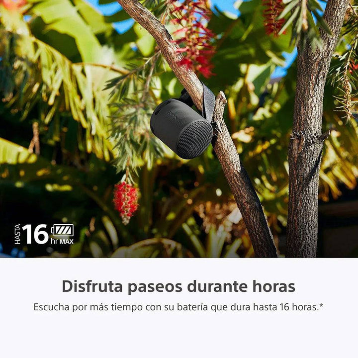 Parlante Sony inalámbrico portátil SRS-XB100 Resistente al agua Batería 16 horas - Achorao