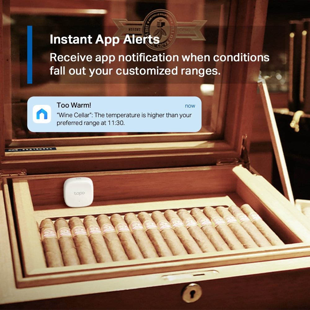 Sensor inteligente de temperatura y humedad TP-Link Tapo T310 - Achorao