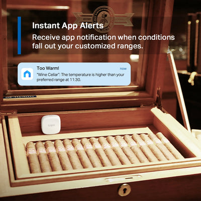 Sensor inteligente de temperatura y humedad TP-Link Tapo T310 - Achorao